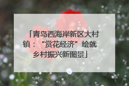 青岛西海岸新区大村镇：“赏花经济”绘就乡村振兴新图景