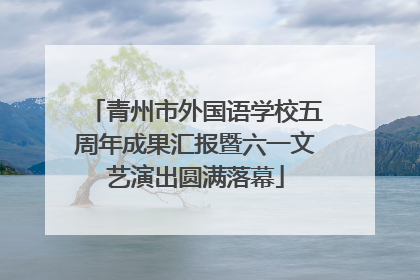 青州市外国语学校五周年成果汇报暨六一文艺演出圆满落幕