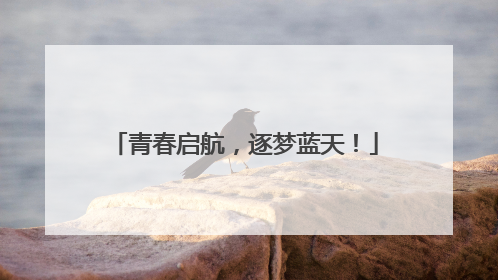 青春启航，逐梦蓝天！