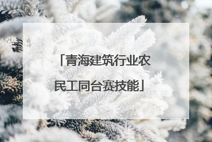 青海建筑行业农民工同台赛技能