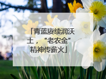 青蓝赓续润沃土，“老农金”精神传薪火
