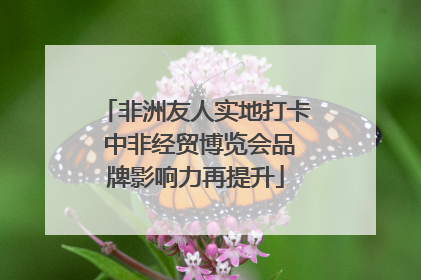 非洲友人实地打卡 中非经贸博览会品牌影响力再提升