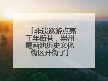 非遗巡游点亮千年街巷，崇州罨画池历史文化街区开街了