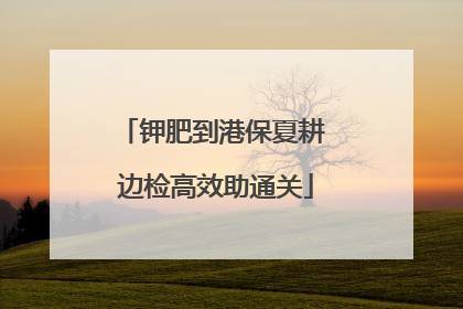 钾肥到港保夏耕 边检高效助通关