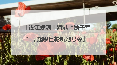 钱江观潮丨海港“娘子军”，超级巨轮听她号令