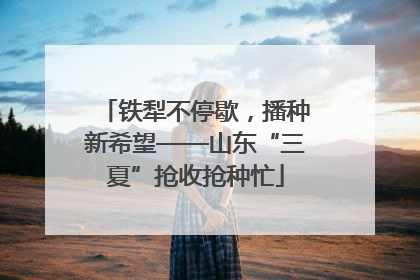 铁犁不停歇，播种新希望——山东“三夏”抢收抢种忙