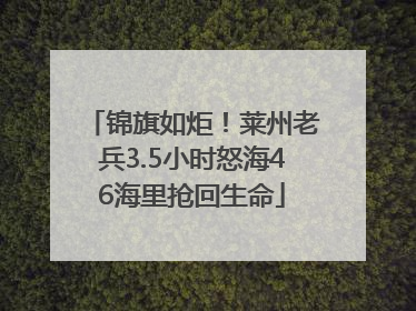 锦旗如炬！莱州老兵3.5小时怒海46海里抢回生命