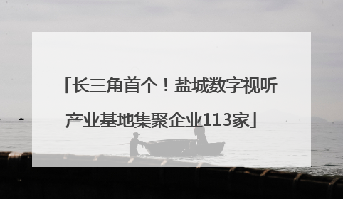 长三角首个！盐城数字视听产业基地集聚企业113家