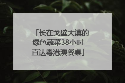 长在戈壁大漠的绿色蔬菜38小时直达粤港澳餐桌