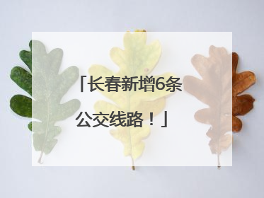 长春新增6条公交线路！
