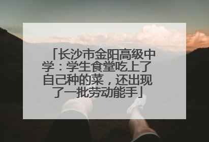长沙市金阳高级中学：学生食堂吃上了自己种的菜，还出现了一批劳动能手