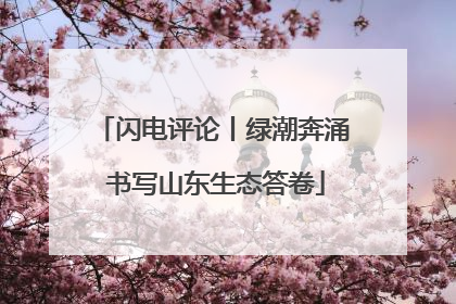 闪电评论丨绿潮奔涌 书写山东生态答卷