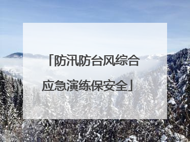 防汛防台风综合应急演练保安全
