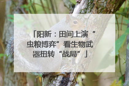 阳新：田间上演“虫粮博弈”看生物武器扭转“战局”