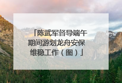 陈武军督导端午期间游划龙舟安保维稳工作（图）
