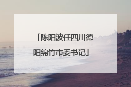 陈阳波任四川德阳绵竹市委书记