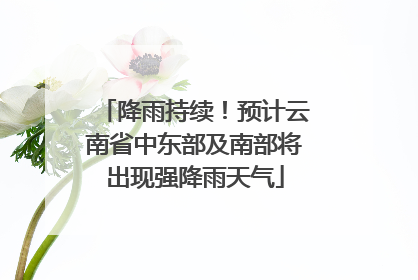 降雨持续！预计云南省中东部及南部将出现强降雨天气