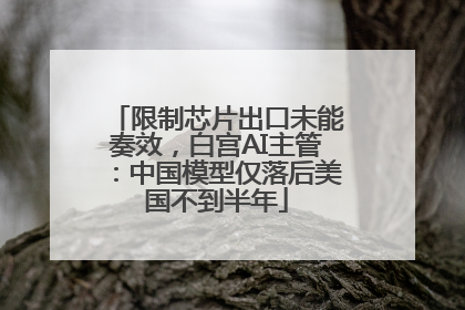 限制芯片出口未能奏效，白宫AI主管：中国模型仅落后美国不到半年