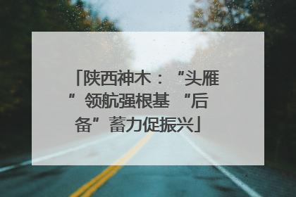 陕西神木：“头雁”领航强根基 “后备”蓄力促振兴