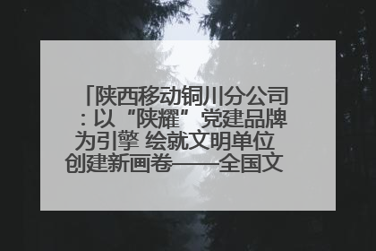 陕西移动铜川分公司：以“陕耀”党建品牌为引擎 绘就文明单位创建新画卷——全国文明单位创建纪实