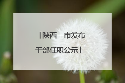 陕西一市发布干部任职公示