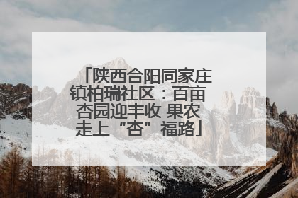 陕西合阳同家庄镇柏瑞社区：百亩杏园迎丰收 果农走上“杏”福路