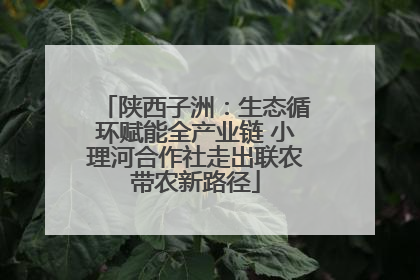 陕西子洲：生态循环赋能全产业链 小理河合作社走出联农带农新路径