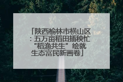 陕西榆林市横山区：五万亩稻田插秧忙 “稻渔共生”绘就生态富民新画卷