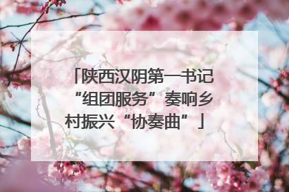 陕西汉阴第一书记“组团服务”奏响乡村振兴“协奏曲”