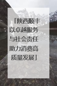陕西顺丰以卓越服务与社会责任助力消费高质量发展