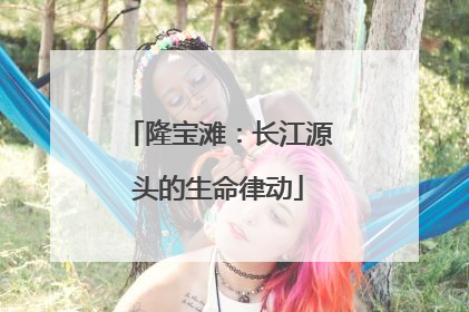 隆宝滩：长江源头的生命律动