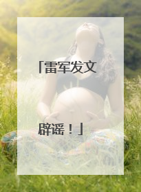 雷军发文辟谣！