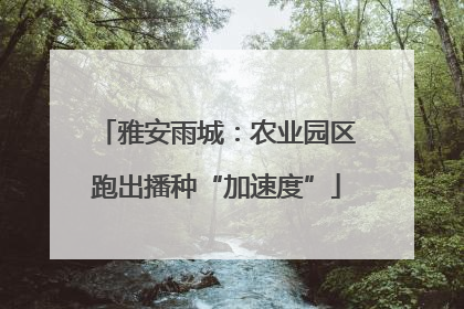 雅安雨城：农业园区跑出播种“加速度”