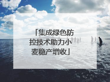 集成绿色防控技术助力小麦稳产增收