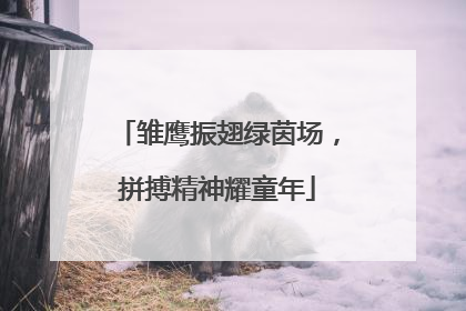 雏鹰振翅绿茵场，拼搏精神耀童年