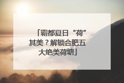 霸都夏日“荷”其美？解锁合肥五大绝美荷塘