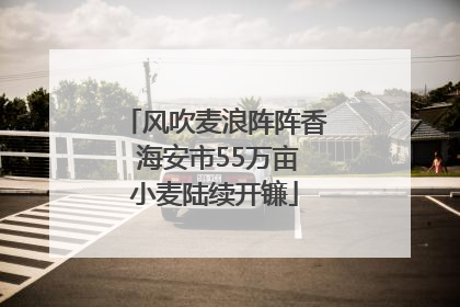 风吹麦浪阵阵香 海安市55万亩小麦陆续开镰