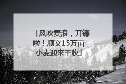 风吹麦浪，开镰啦！顺义15万亩小麦迎来丰收