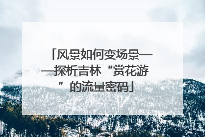 风景如何变场景——探析吉林“赏花游”的流量密码