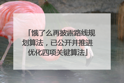 饿了么再披露路线规划算法，已公开并推进优化四项关键算法