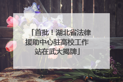 首批！湖北省法律援助中心驻高校工作站在武大揭牌
