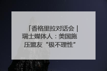香格里拉对话会｜瑞士媒体人：美国施压盟友“极不理性” 欧洲国家无意与中国“脱钩断链”
