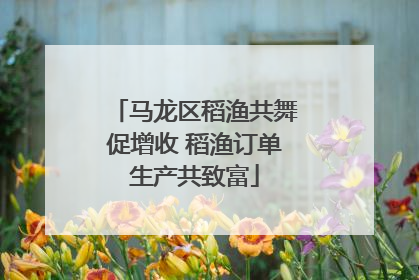 马龙区稻渔共舞促增收 稻渔订单生产共致富