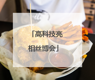 高科技亮相丝博会