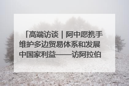高端访谈｜阿中愿携手维护多边贸易体系和发展中国家利益——访阿拉伯议会议长亚马希