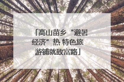 高山苗乡“避暑经济”热 特色旅游铺就致富路