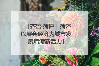 齐鲁·菏评｜菏泽以展会经济为城市发展增添新活力