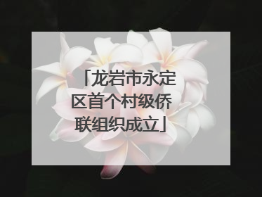 龙岩市永定区首个村级侨联组织成立