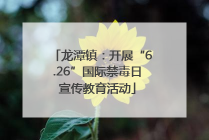 龙潭镇：开展“6.26”国际禁毒日宣传教育活动