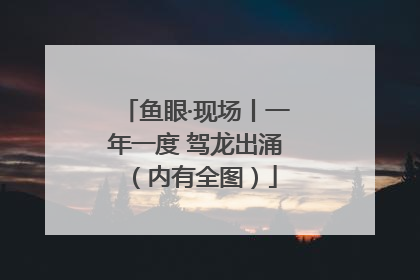 鱼眼·现场丨一年一度 驾龙出涌（内有全图）